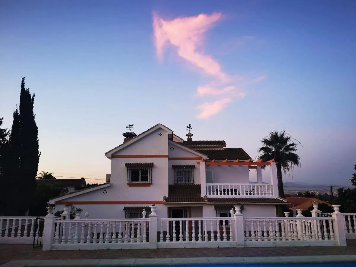 Villa Paraiso - Appartement 2 Pieces Privatif 阿尔豪林德拉托里 西班牙